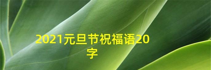 岁末迎元——元旦节祝福（用唯美短句）