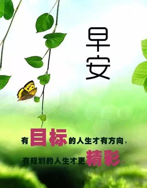 迎接12月，迎接新的开始（25个唯美句子）