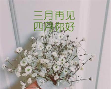 春天的曲调，永不停息（三月和四月的青春之约）