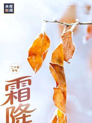 霜降微信经典祝福——寒意袭来，祝福暖心