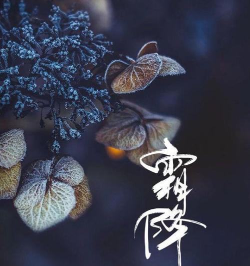 温暖祝福，送给你我最好的心愿（温暖祝福）