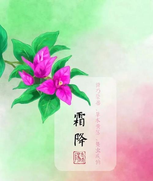 霜降问候——美好的冬日时光（用唯美短句为朋友圈送上问候）