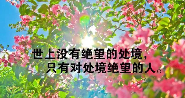 《温柔的坚强》