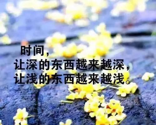 不屈不挠，坚强向前（唯美短句探寻坚强哲理）