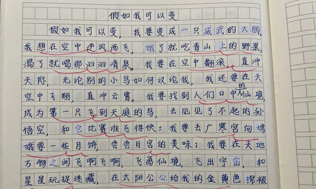 三年级的趣事（小学生活中的欢乐时光）