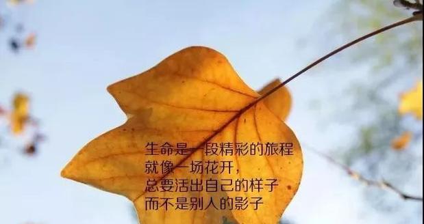 与命运的对话（与命运的对话）