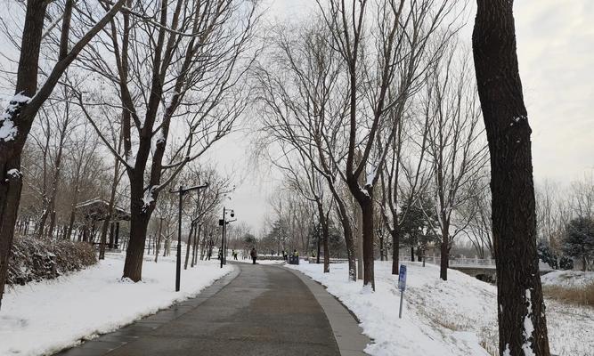 北京初雪，美如画（迎接2024年第一场雪）