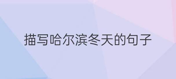 白莲花的恬静之美（清新如水）