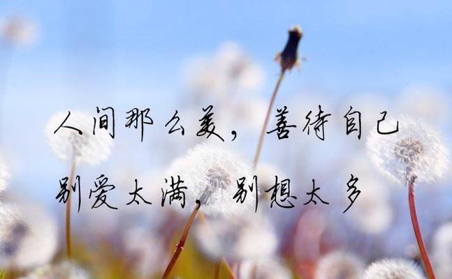 静待秋日的美丽与神奇（静待秋日的美丽与神奇）