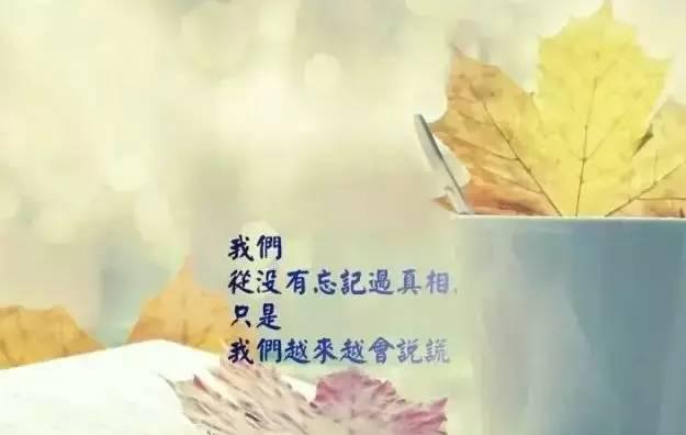 心情好句，体味生活之美（用唯美短句）