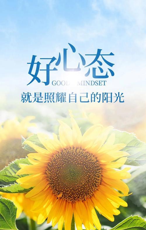 阳光下的美好（用积极正能量创造美好生活）