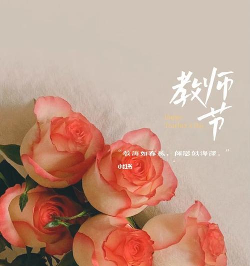 教师节，致敬心中的明灯（用短句表达感恩）