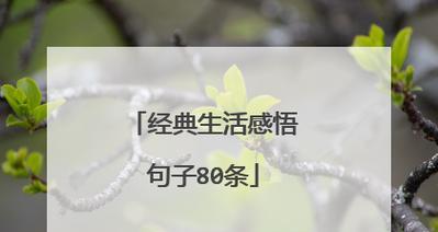 清风拂面，金黄的大地（清风拂面）