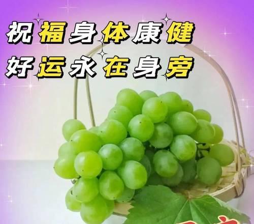 八月你好早安好：唤醒美好生活