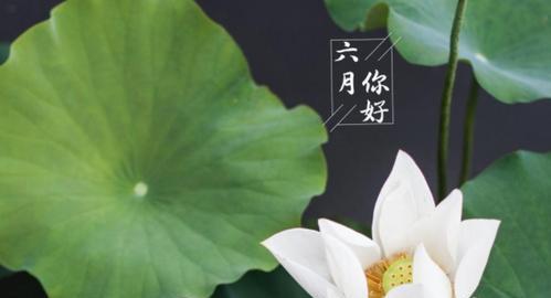 以八月请你对我好一点（夏日的美好）