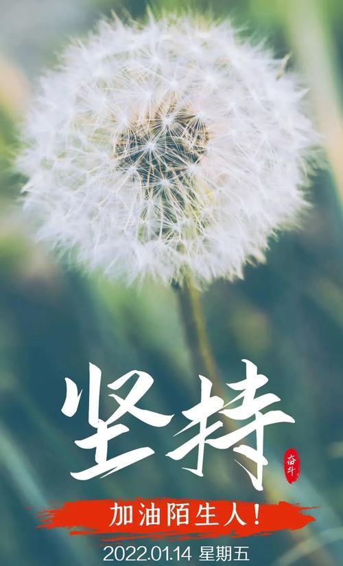 以八月请你对我好一点（夏日的美好）