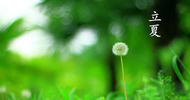 立夏：花开绿满园，风吹百花香。