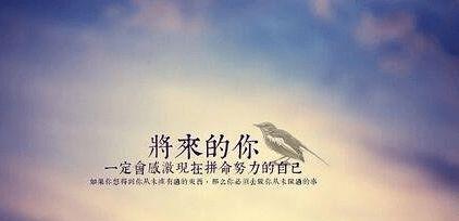 《平凡唯美生活的美好》