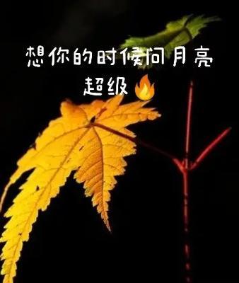 《平凡生活里的美好》