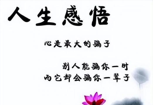 心灵美学（探寻唯美哲理）