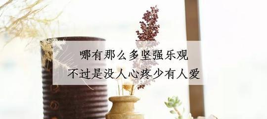 坚强到心疼——唯美句子的情感故事