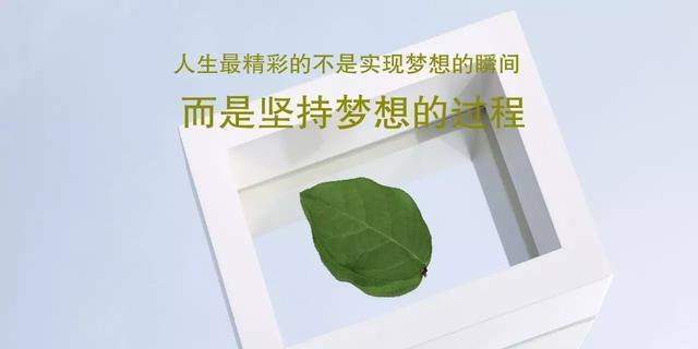 坚持不懈，砥砺前行（探寻坚持的意义与力量）