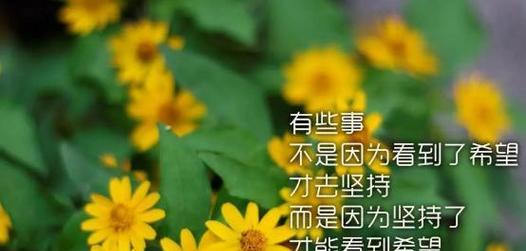 行至水穷处，坚持不懈（25句经典励志句子带你勇往直前）