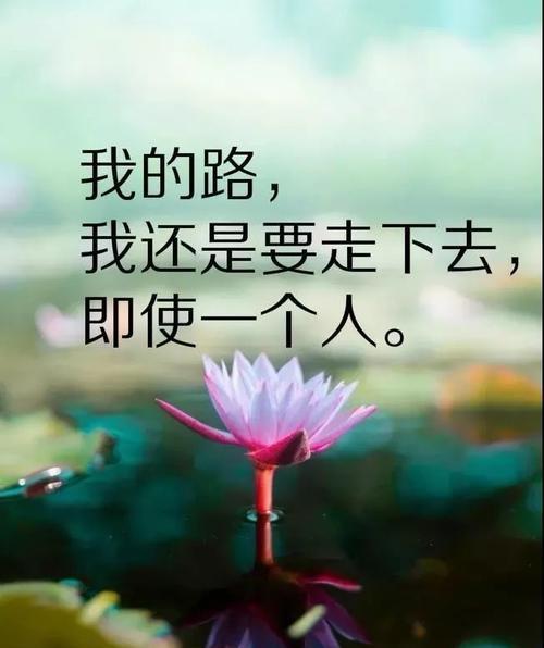 感受生命之花开，不畏风雨相伴（感受生命之花开）