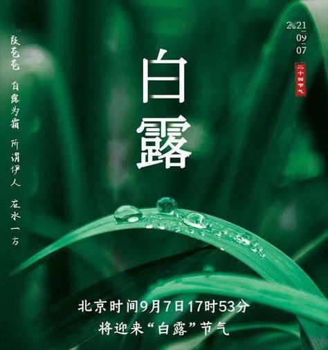 白露，秋意渐浓（落叶飘舞）