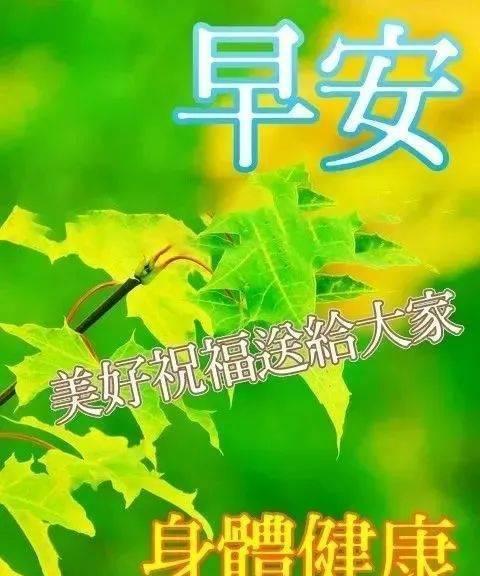 笑着面对生活（一颗阳光的心）