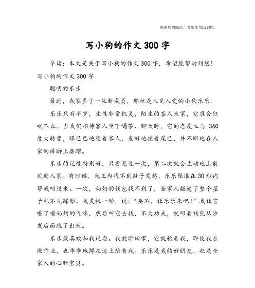 狗狗的故事（一个忠诚的伙伴）