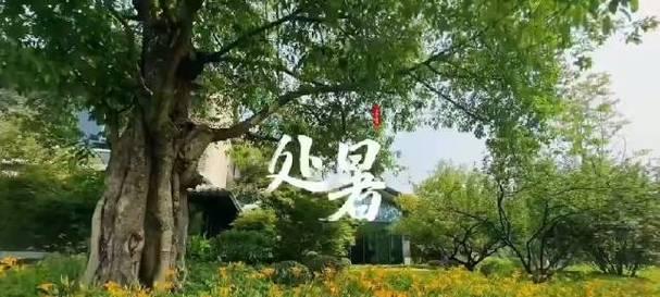 2024年处暑祝福——清凉之感（以唯美的短句）