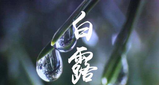 白露节气祝福语录（用短句诠释秋意）