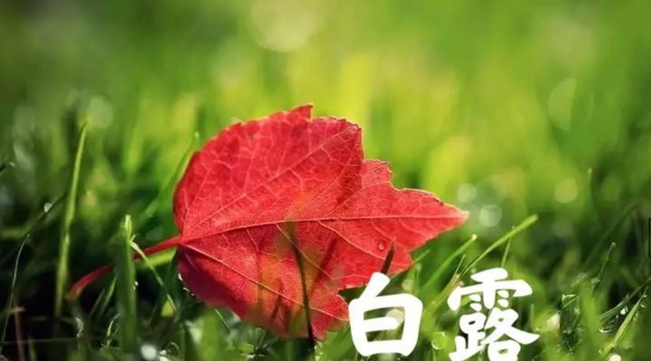 白露节气祝福语录（用短句诠释秋意）