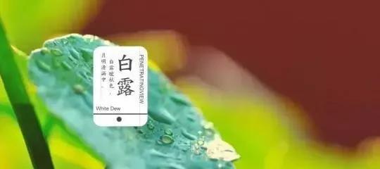 白露时节，一纸短信，一份问候（25个唯美句子）