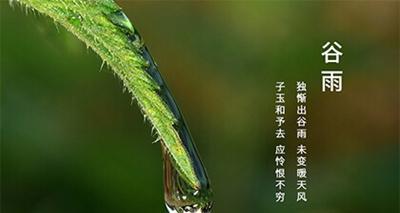 细语花开，寻觅春天的声音（细语花开）