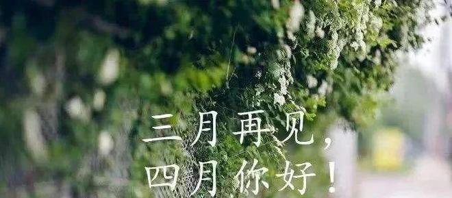 《离别的美丽》