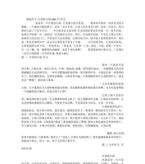 主题：两只小狗的冒险故事