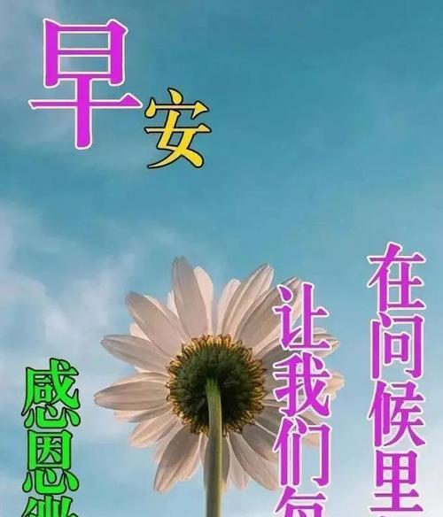 温暖心灵的周一早安祝福（用简短的话语）