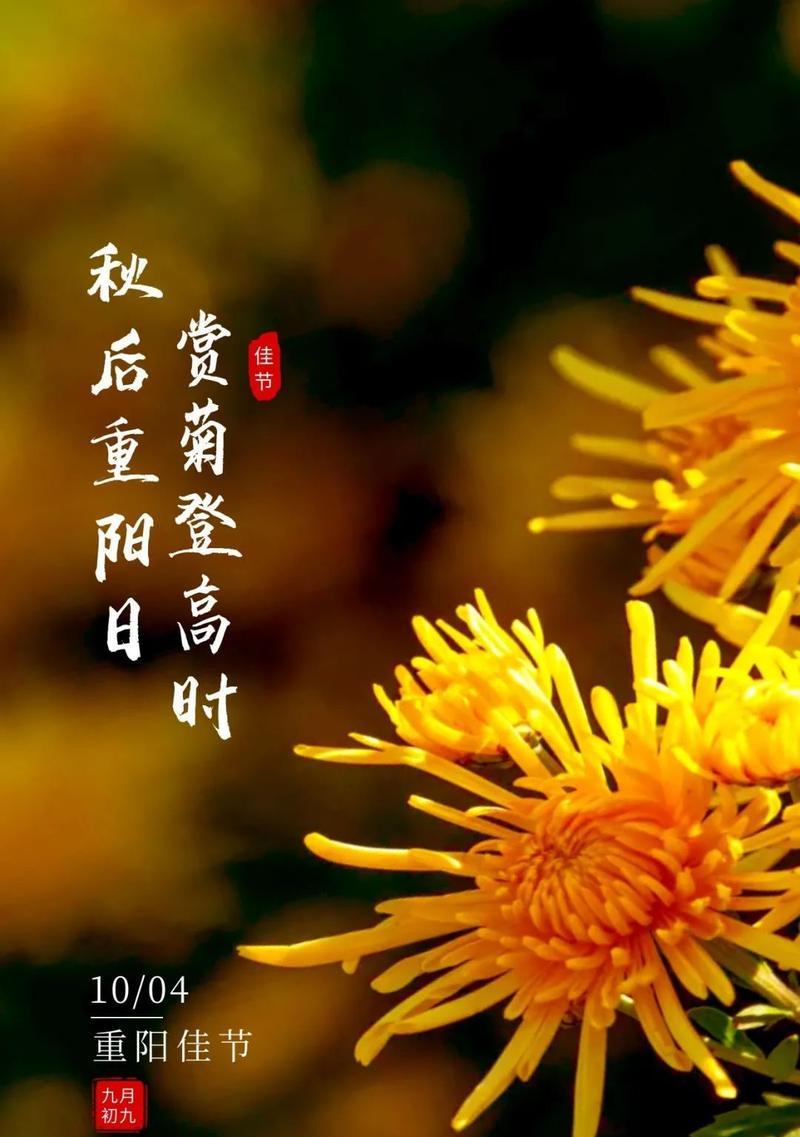 秋高气爽，祝福心香——以重阳节微信祝福语为主题的唯美短句（寄托思念）