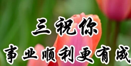 传递温暖祝福——重阳节祝福话语经典句子语录（用文字为长辈送上节日的问候）