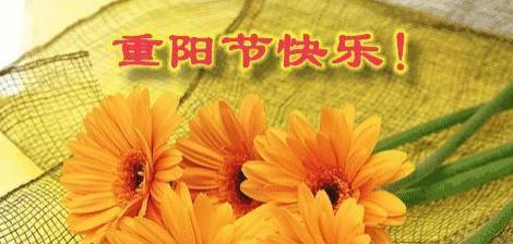 传递温暖祝福——重阳节祝福话语经典句子语录（用文字为长辈送上节日的问候）