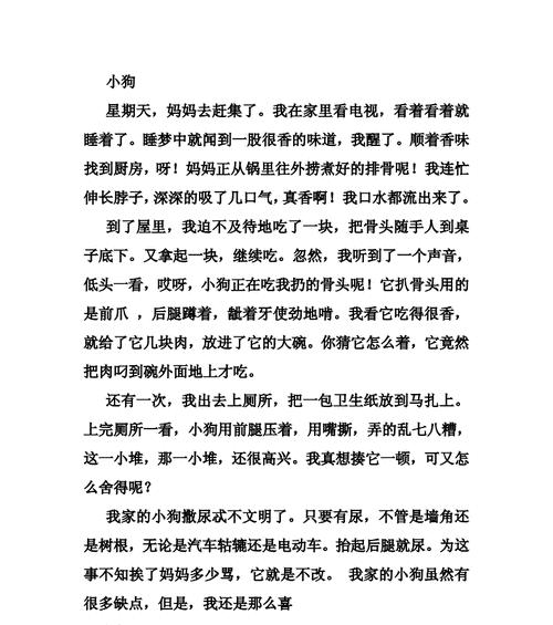 狗狗的故事（一只小狗的成长之路）