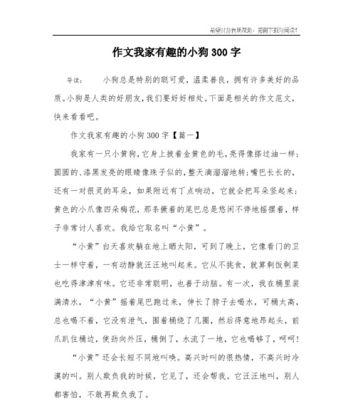 我的忠诚伙伴——小狗的故事（从陌生到熟悉的过程）