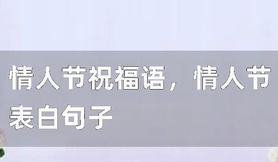 让爱永不凋零（2024情人节祝福语）