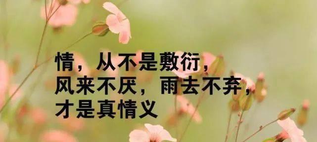 春天的花朵，你绽放了多美（用人生最精辟的一句话）