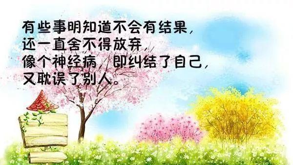 春天的花朵，你绽放了多美（用人生最精辟的一句话）