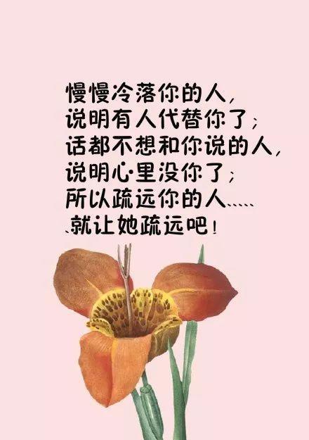 《人生之花——唯美短句的哲理感悟》