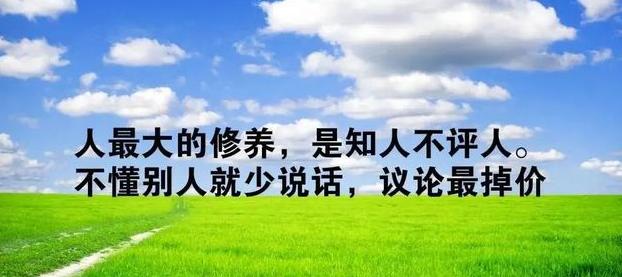 人生路上的探索与领悟（人生路上的探索与领悟）