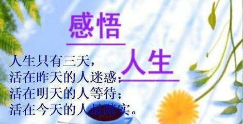 人生启示感悟（用心感受生命中的点滴）